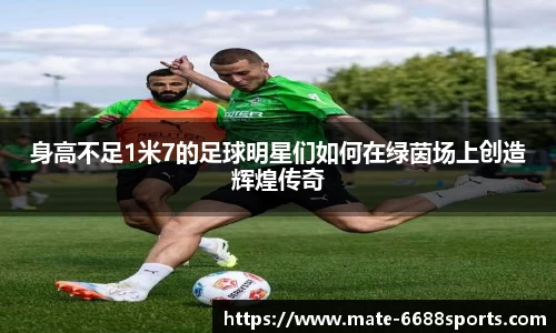 6688体育官网